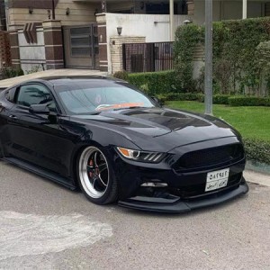 Sixth-Gen Ford Mustang Bagged Has a Unique Personality