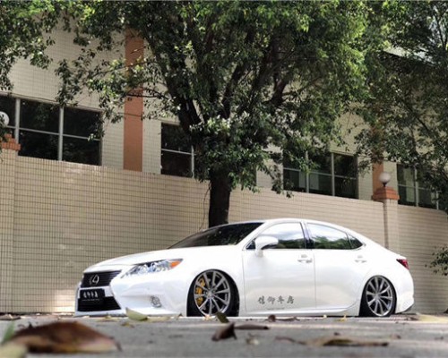Eclectic Lexus ES Bagged society low lying style