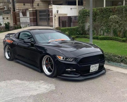 Sixth-Gen Ford Mustang Bagged Has a Unique Personality