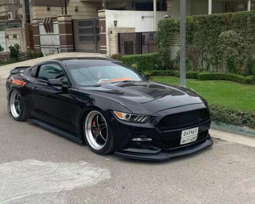 Bagged Ford Mustang: Unleashing the Wild Side of Customization